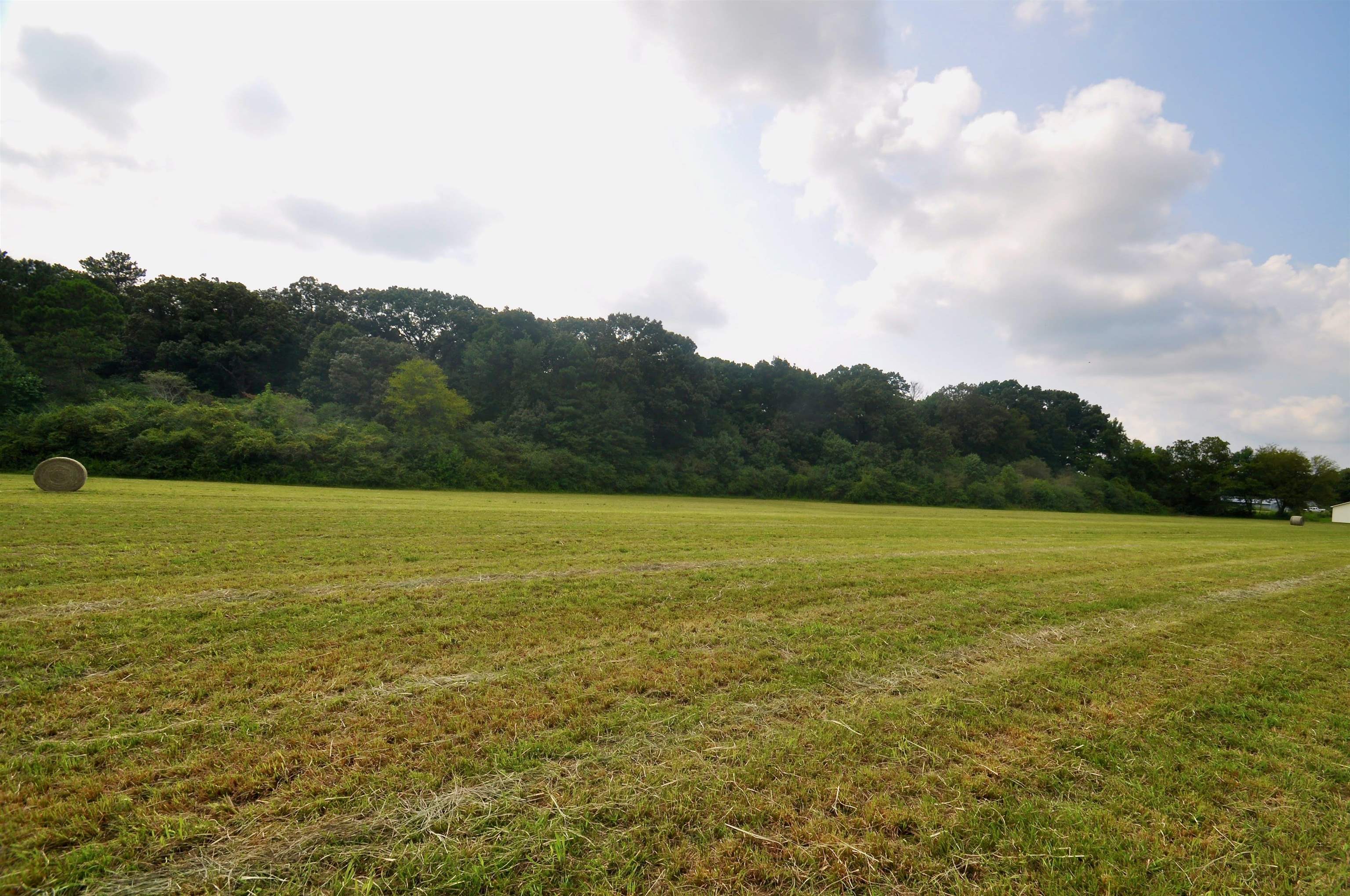 Property Photo:  0 Co Rd 1549  AL 35058 - CULLMAN 