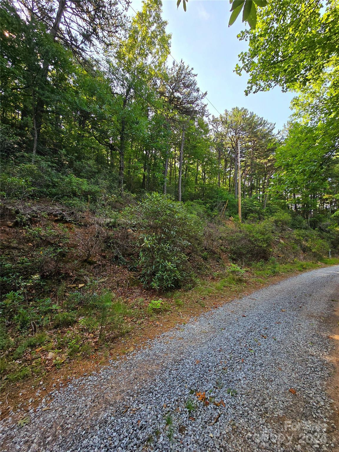 00 Kathy Lake Drive 24/25  Edneyville NC 28756 photo