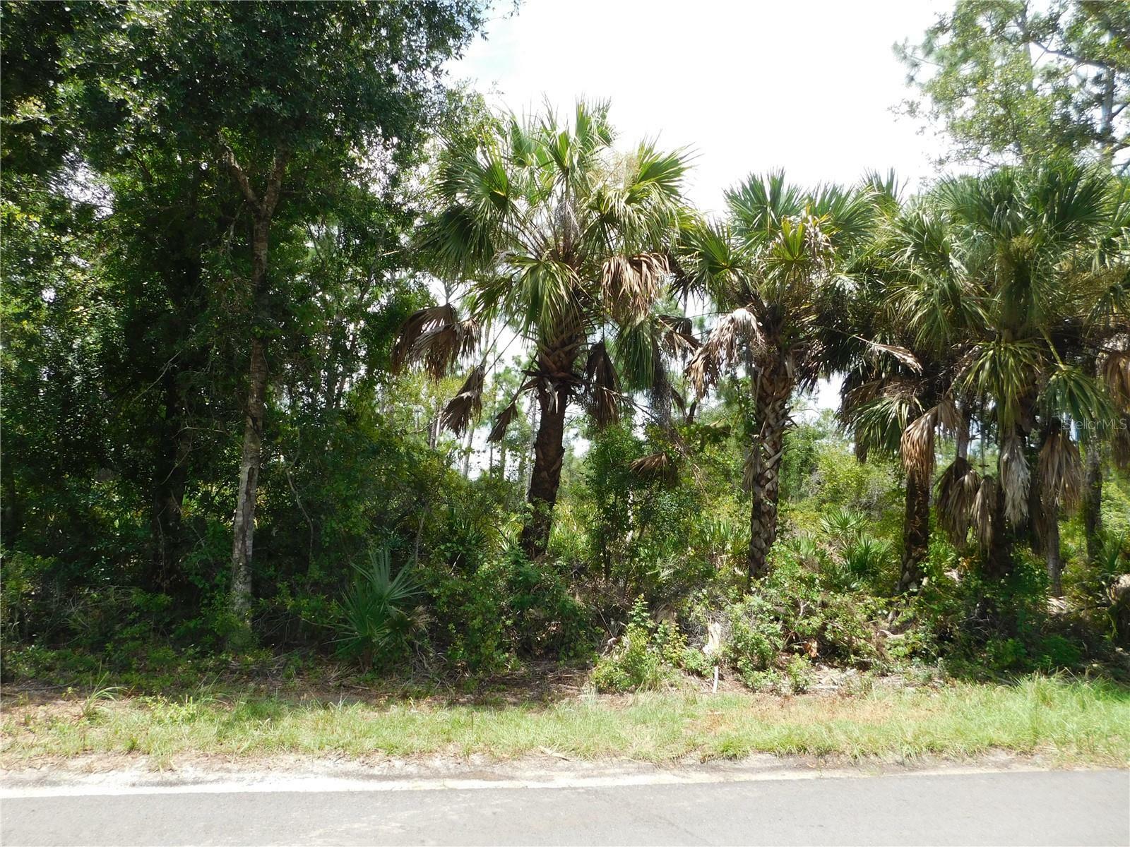 Property Photo:  18198 Savage Avenue  FL 33948 