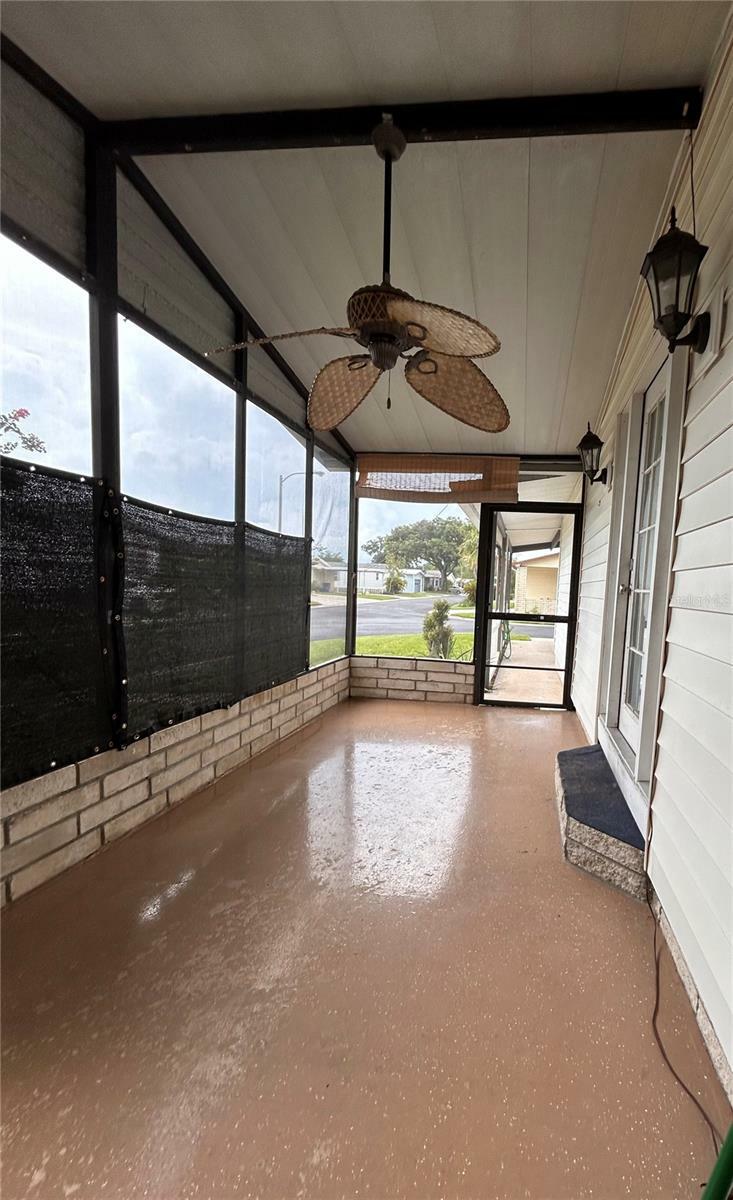 Property Photo:  3022 Short Leaf Street  FL 33543 