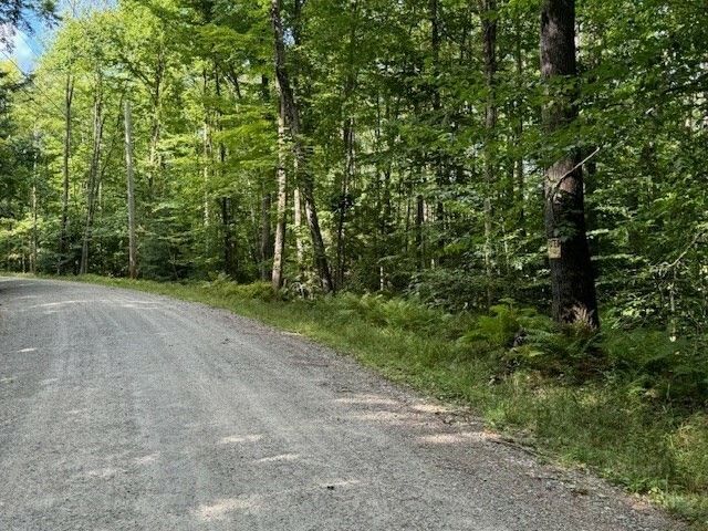 Property Photo:  Lot 119 Davis Mine Rd  MA 01367 