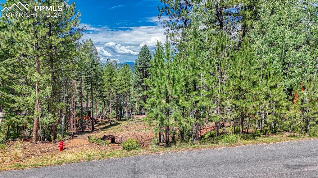 Property Photo: 1320 Forest Edge Road CO 80863