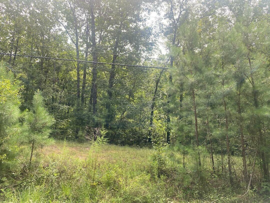 Property Photo:  Lot 4 North Walston Bridge Road  AL 35504 