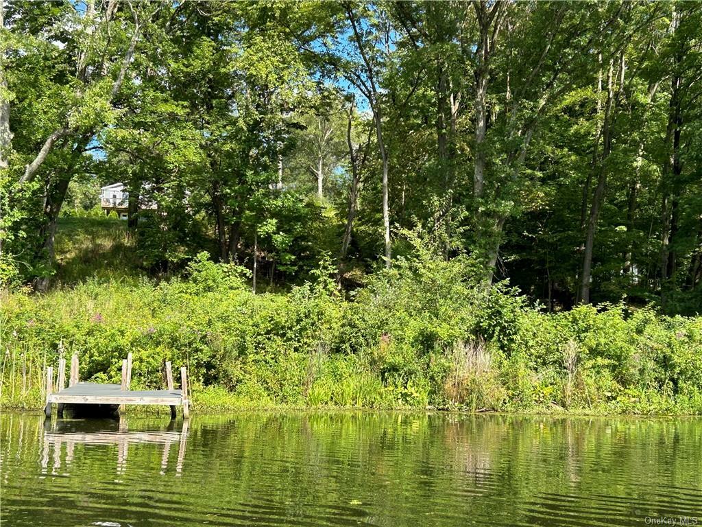 Property Photo:  23 Lakeside Drive  NY 12553 