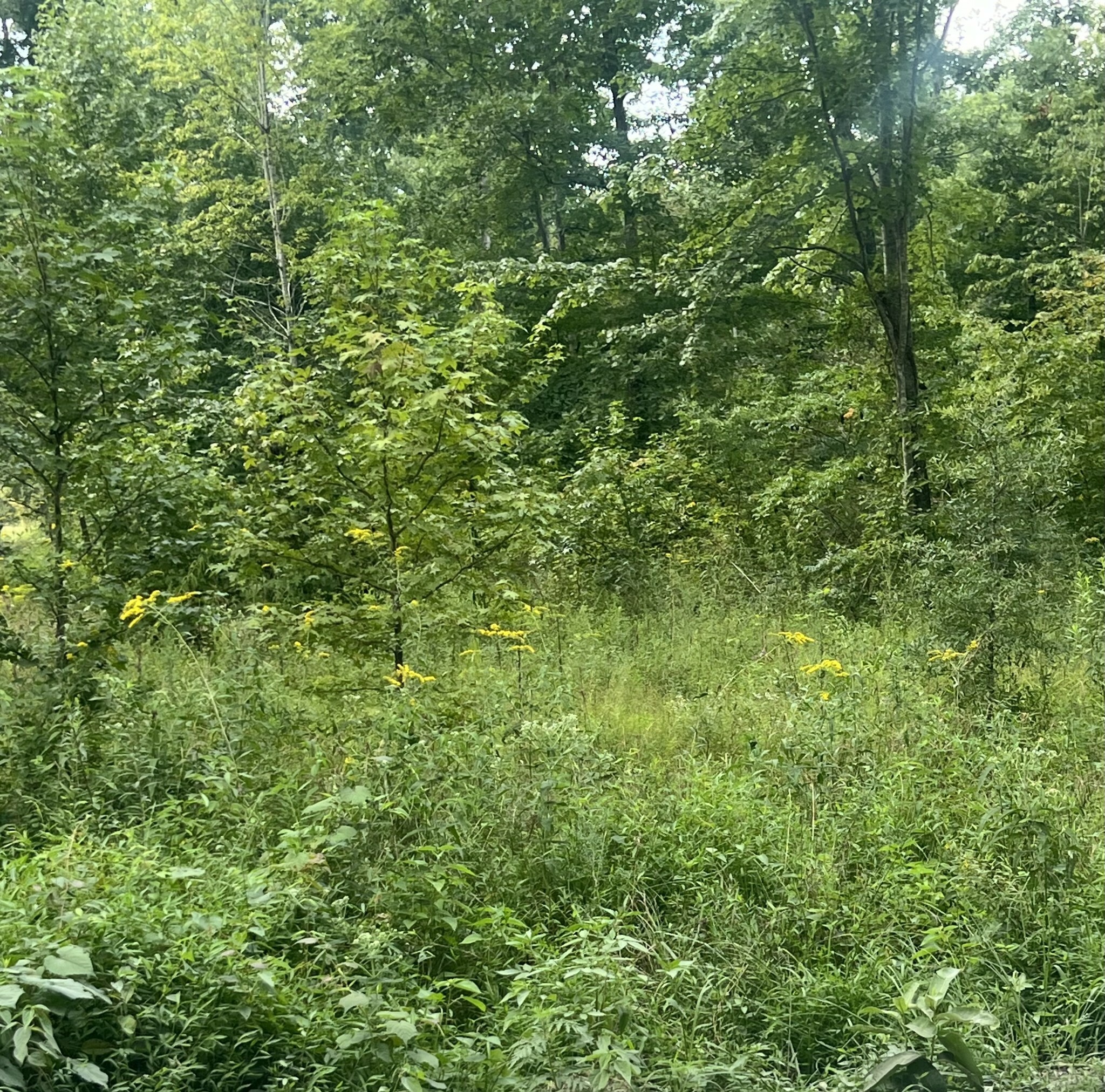 Property Photo:  0 Shiloh Rd  TN 37018 