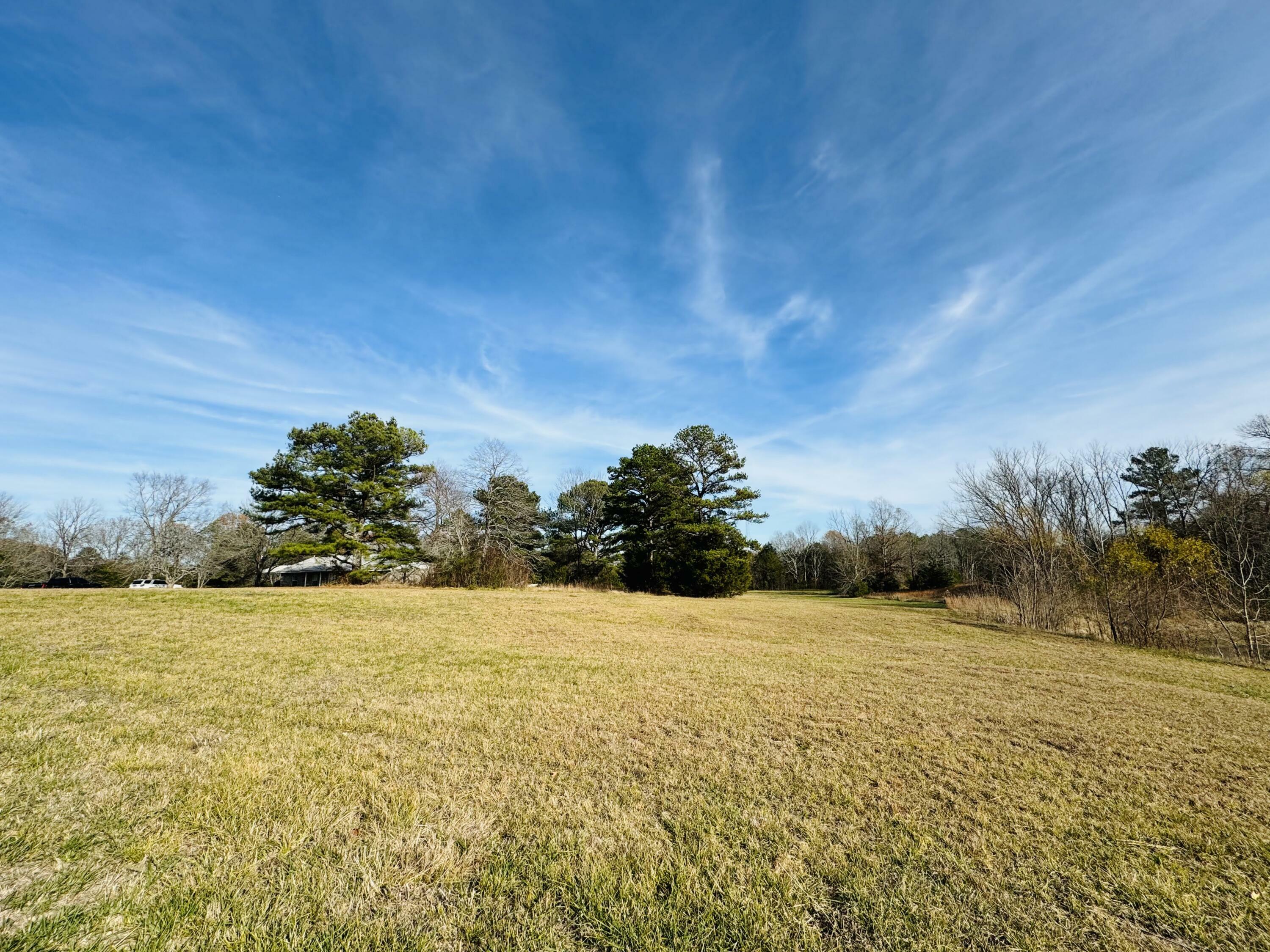 Property Photo:  140 Birmingham Ridge Rd  MS 38828 