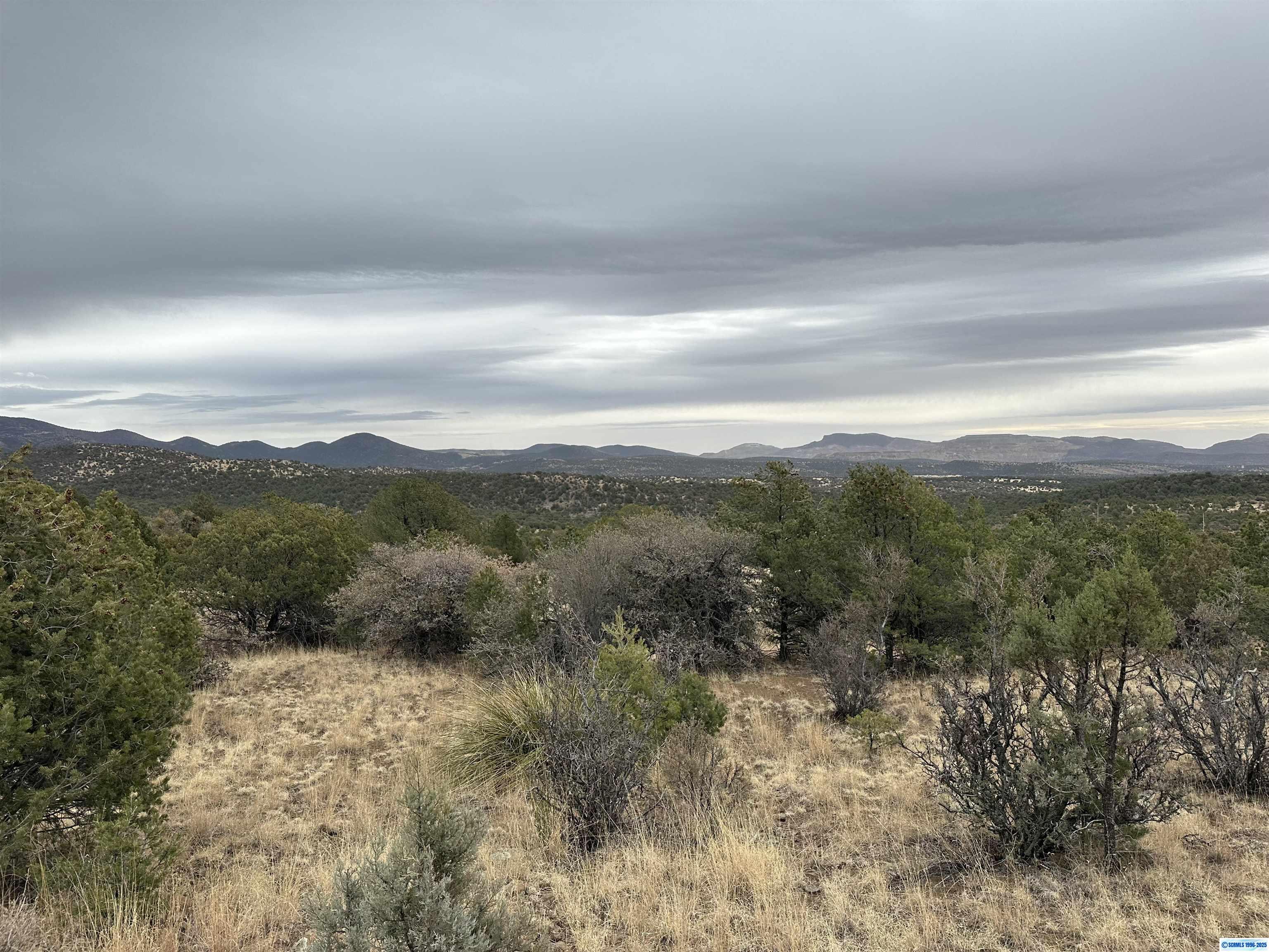 Property Photo:  Xxx Xyz Ranch Road  NM 88061-0000 