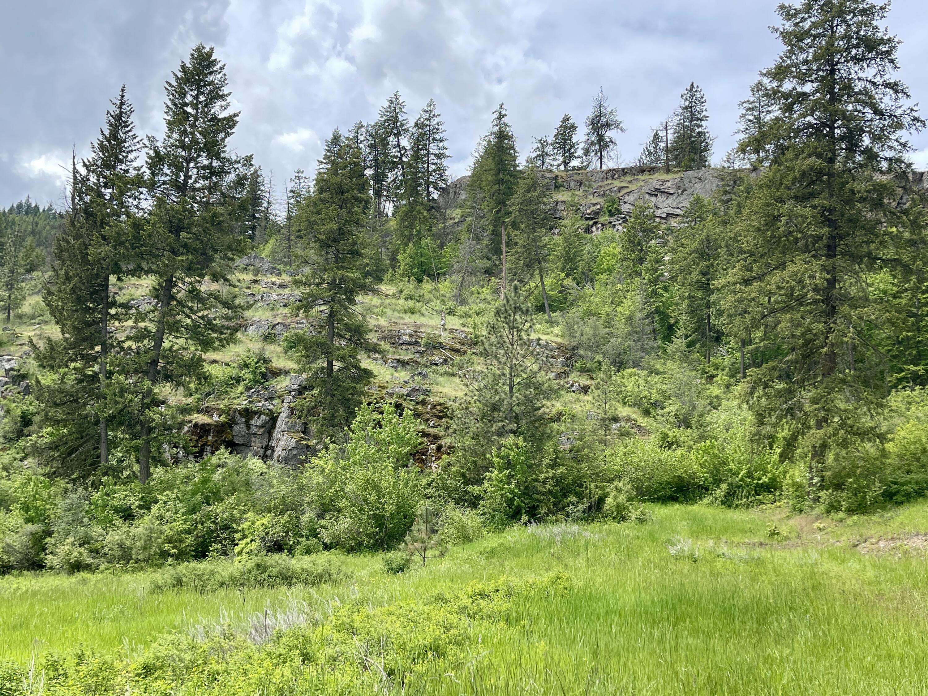 Property Photo: 842 Lot 5 Valley-Westside Rd WA 99114