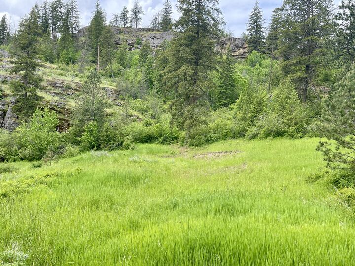 842 Lot 5 Valley-Westside Rd  Colville WA 99114 photo