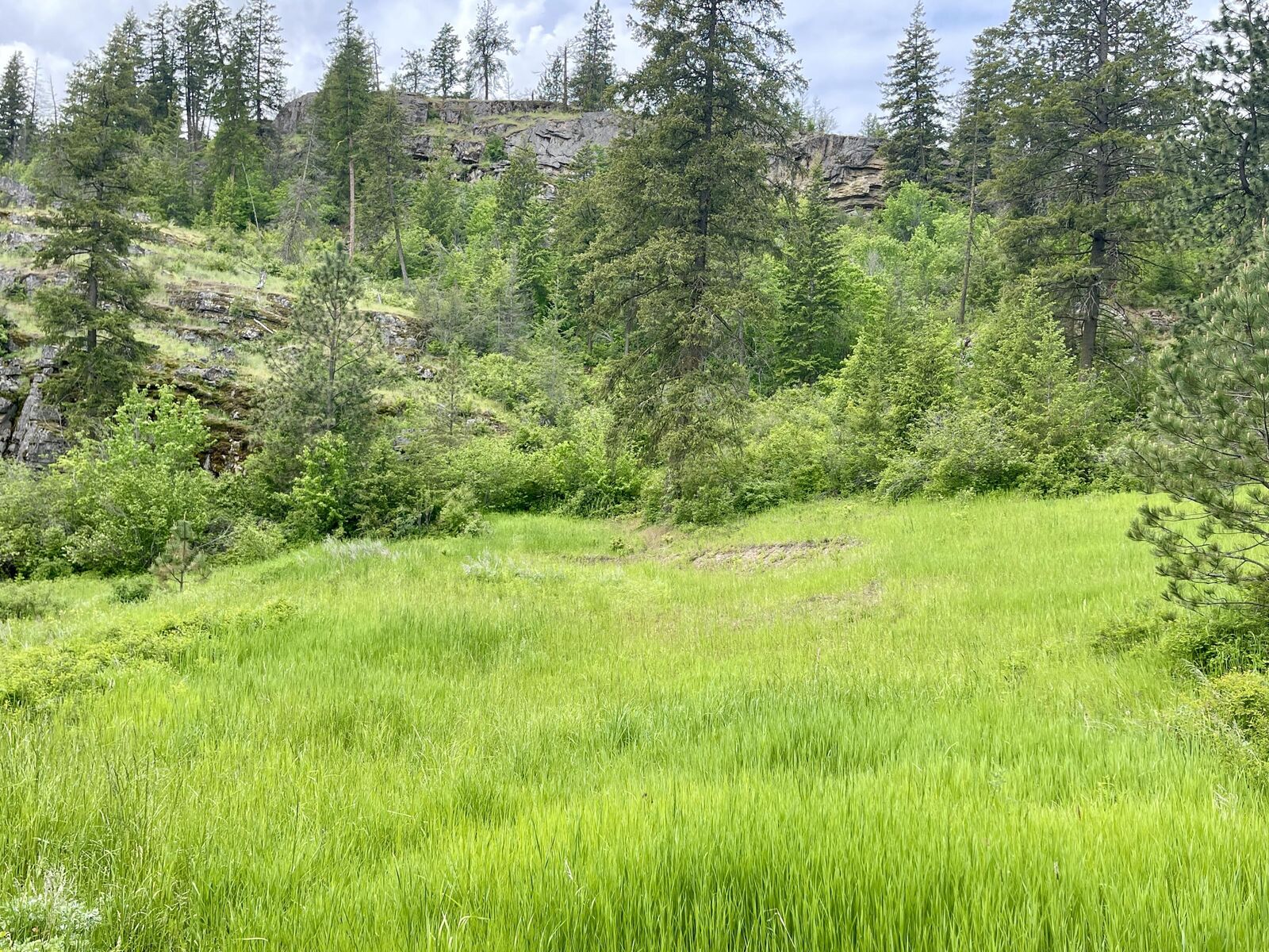 Property Photo:  842 Lot 5 Valley-Westside Rd  WA 99114 