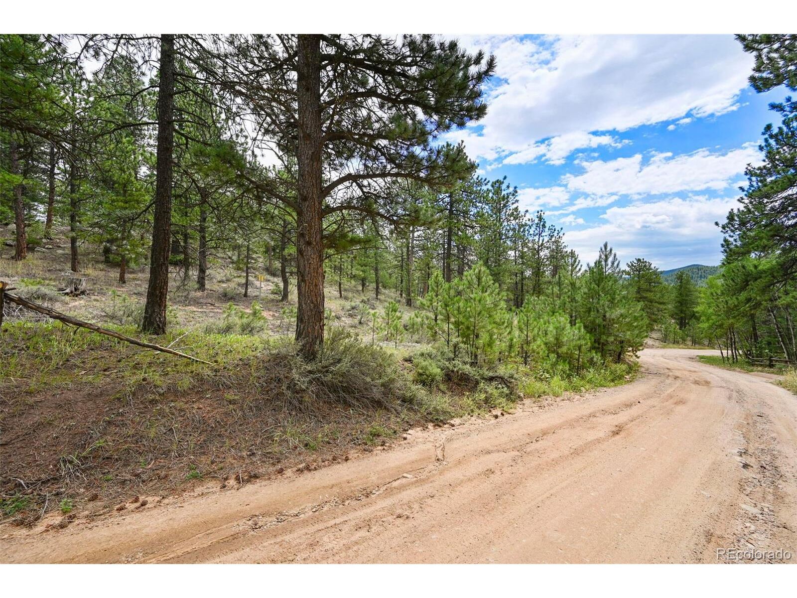 Property Photo:  374 Spruce Dr  CO 80540 