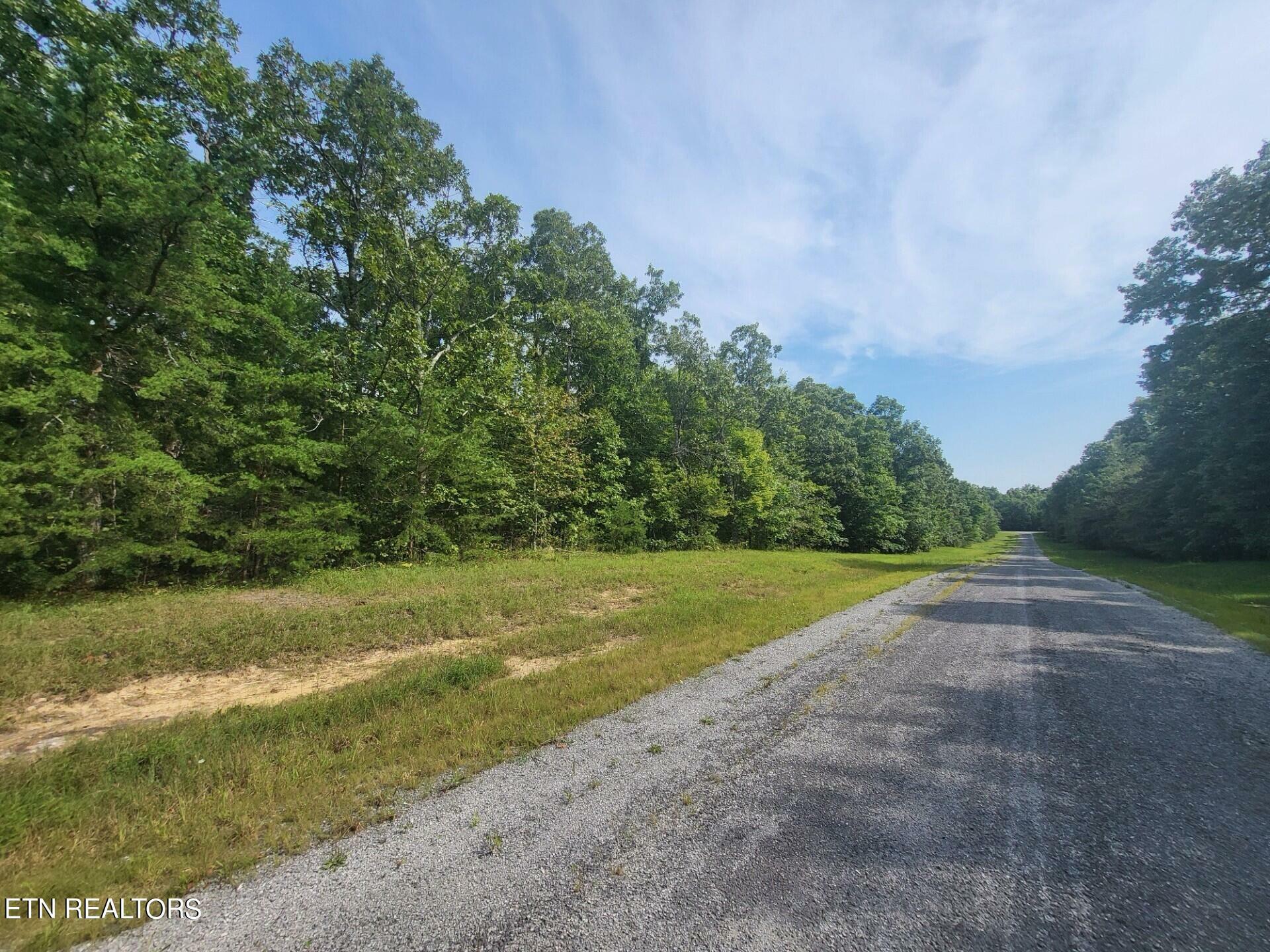 Property Photo:  Thistle Rd. Lot 2 & 3  TN 38574 