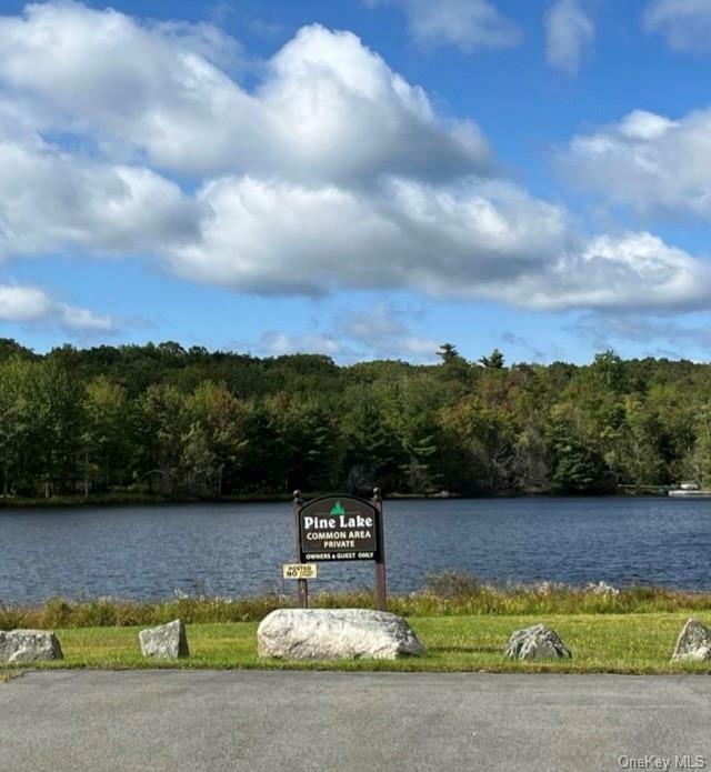 Lot 21 Pine Lake Drive  Wurtsboro NY 12790 photo