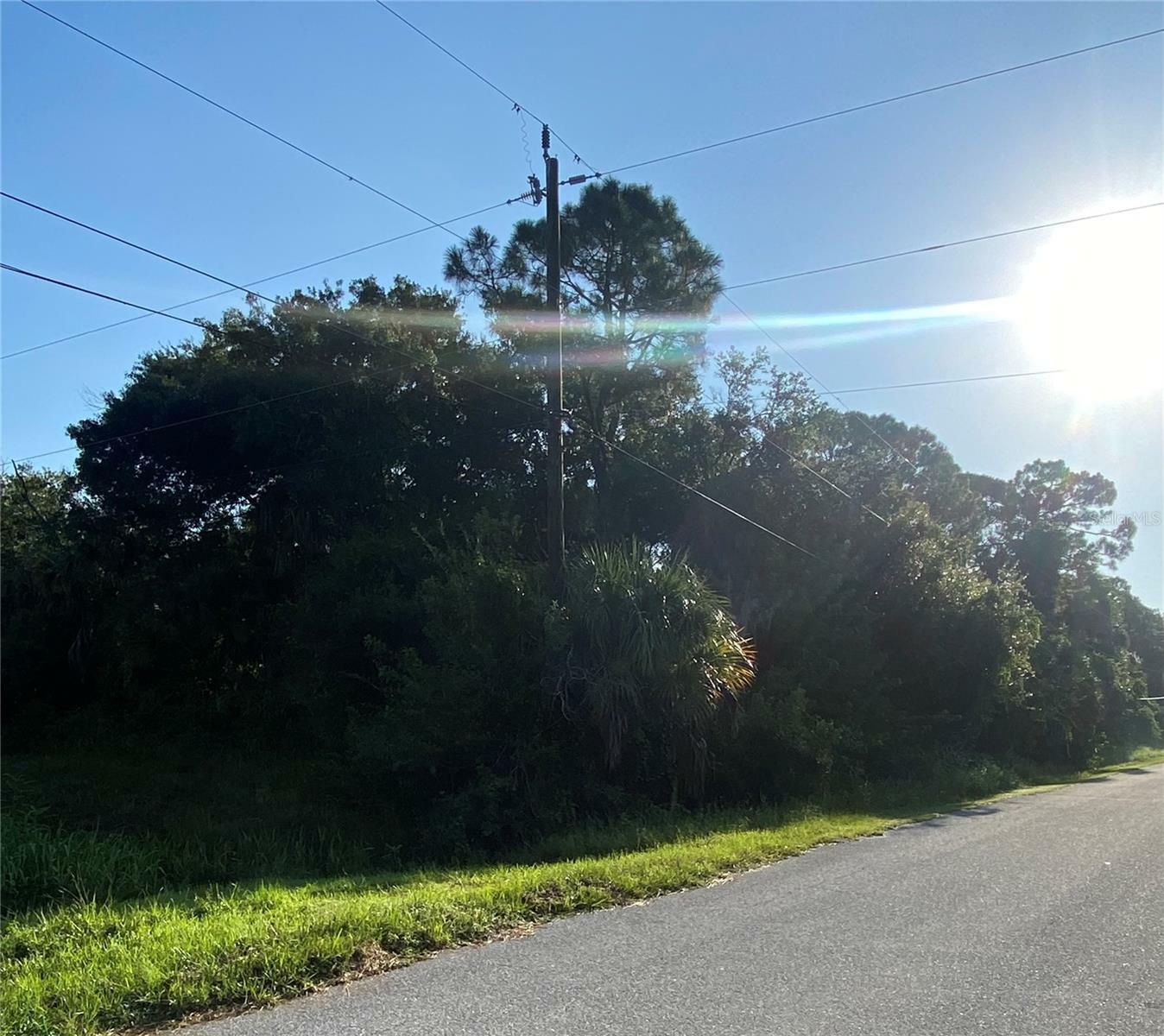 Property Photo:  Delor Avenue  FL 34286 