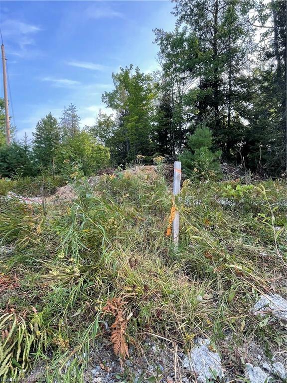 Property Photo:  Part Lot 2 Leduc Road  ON P0H 1M0 