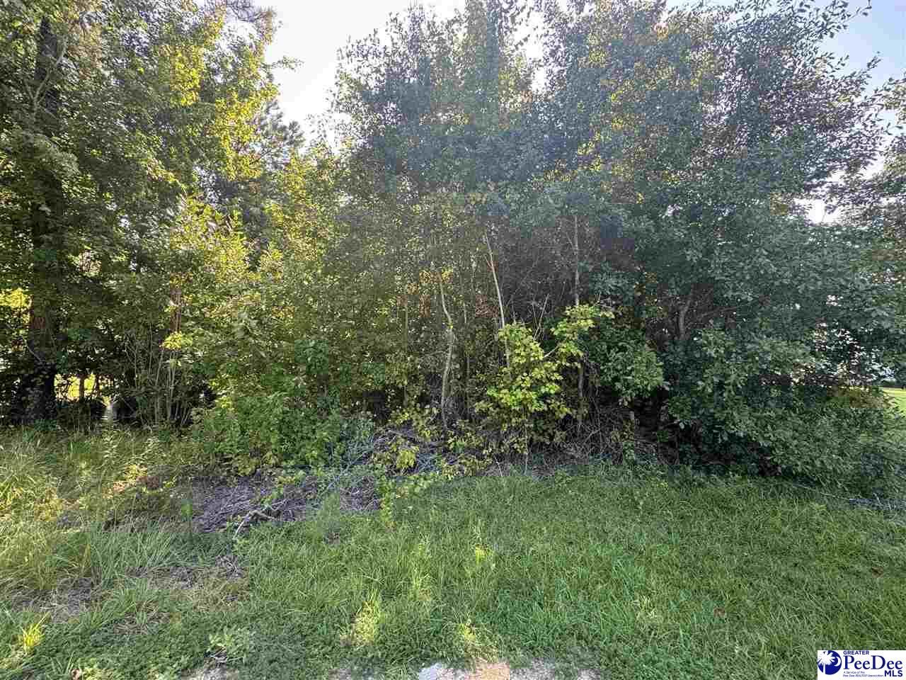 Property Photo: Tbd S Wallace Road SC 29506