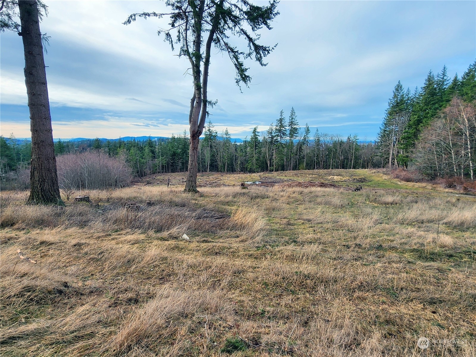 Property Photo:  3941 B Toad Lake Rd  WA 98226 