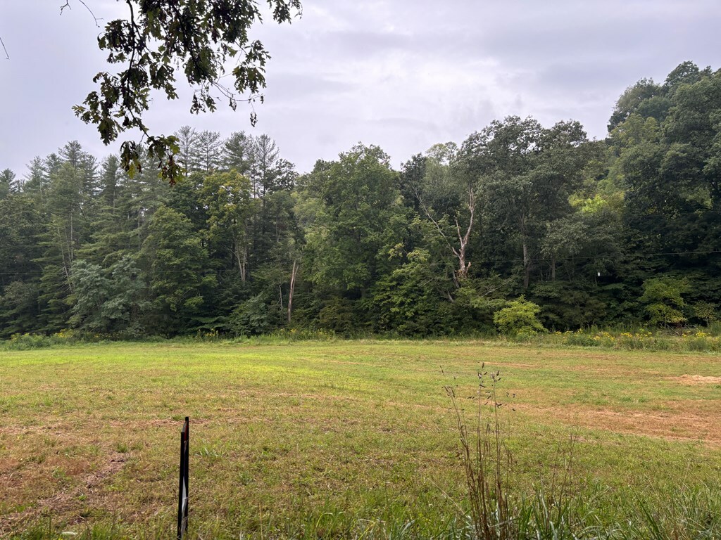 Property Photo:  31435 Stevens Branch Rd  OH 45647 