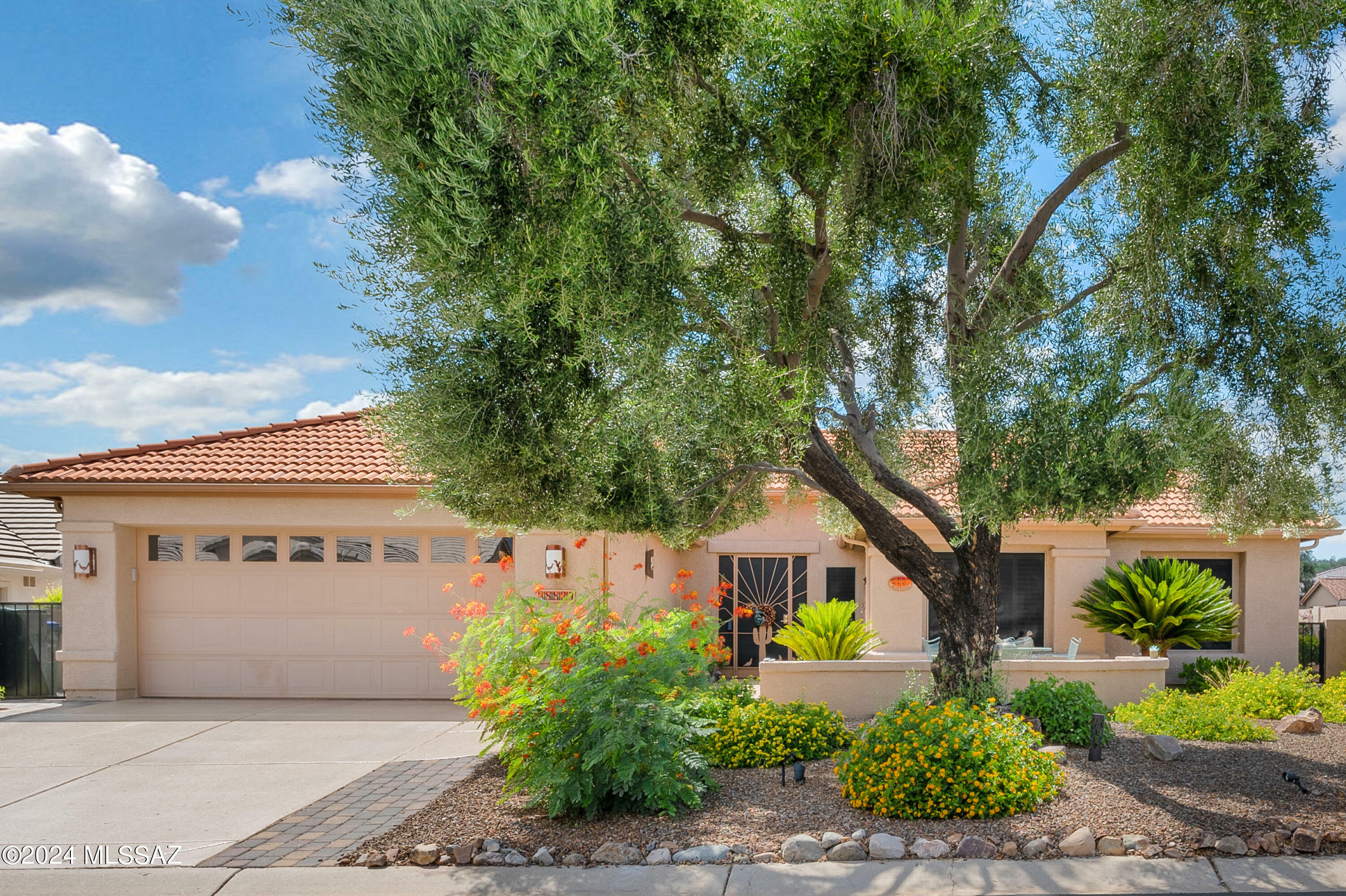 Property Photo:  38834 S Stone Wood Drive  AZ 85739 