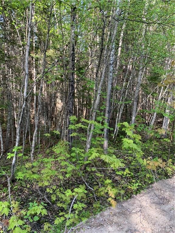 Property Photo:  Lot 79-2 Route 134 Galloway  NB E4W 5T5 