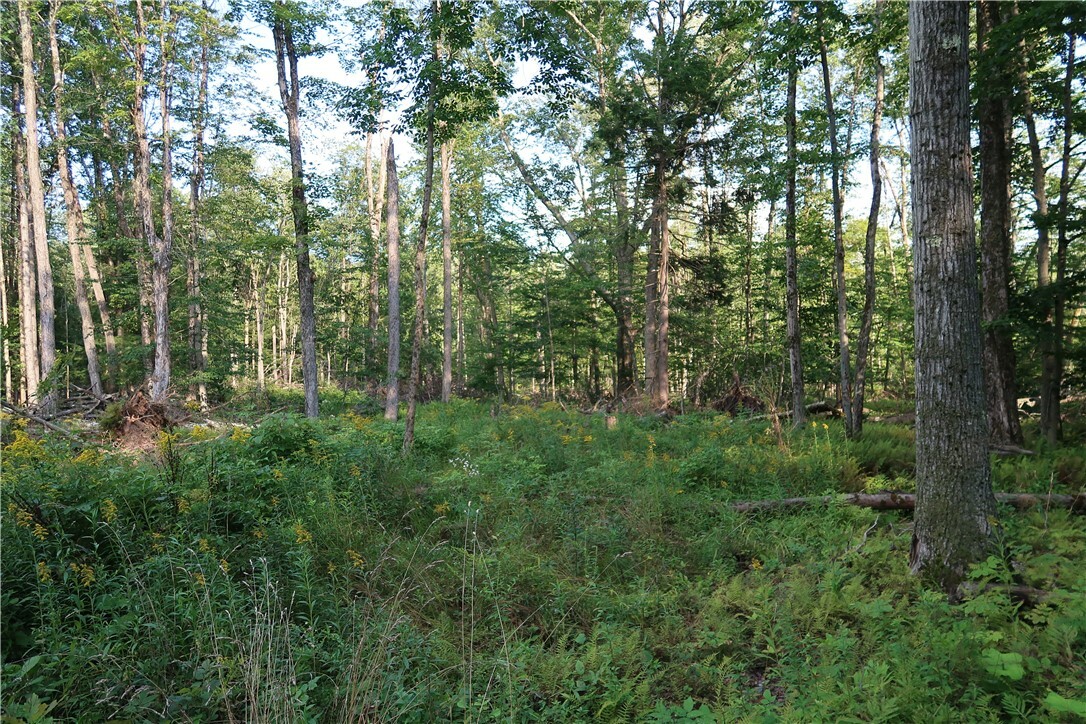 Property Photo:  Lot 9 German Road  NY 13863 