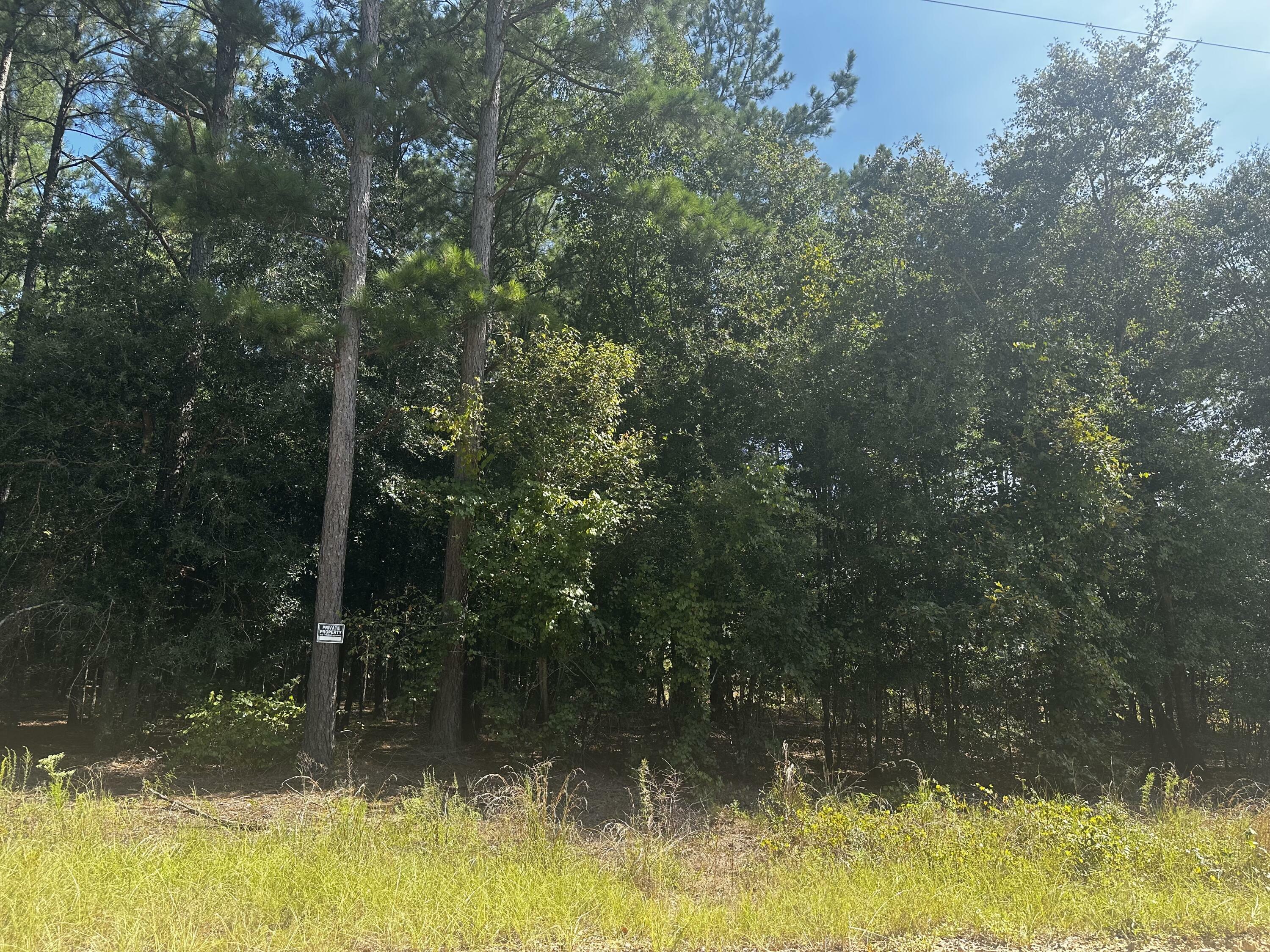 Lot 34 Pine Needle Road  Hephzibah GA 30815 photo