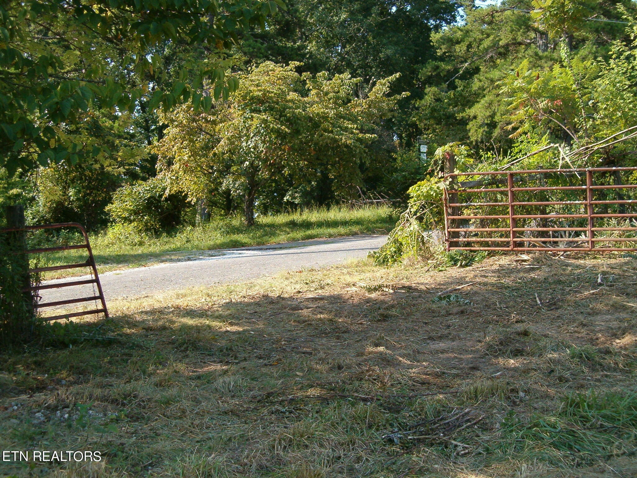 Property Photo:  199 Chestnut Ridge Rd  TN 37763 