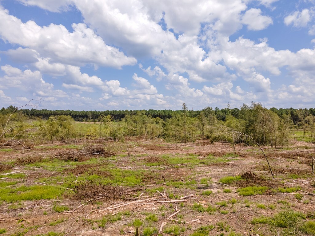 Property Photo:  R53358 Hwy 94  TX 75926 