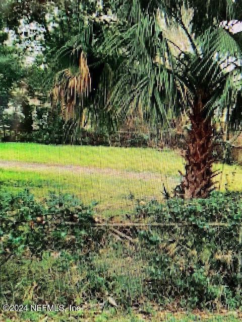 2123 Wilberforce Road  Jacksonville FL 32209 photo