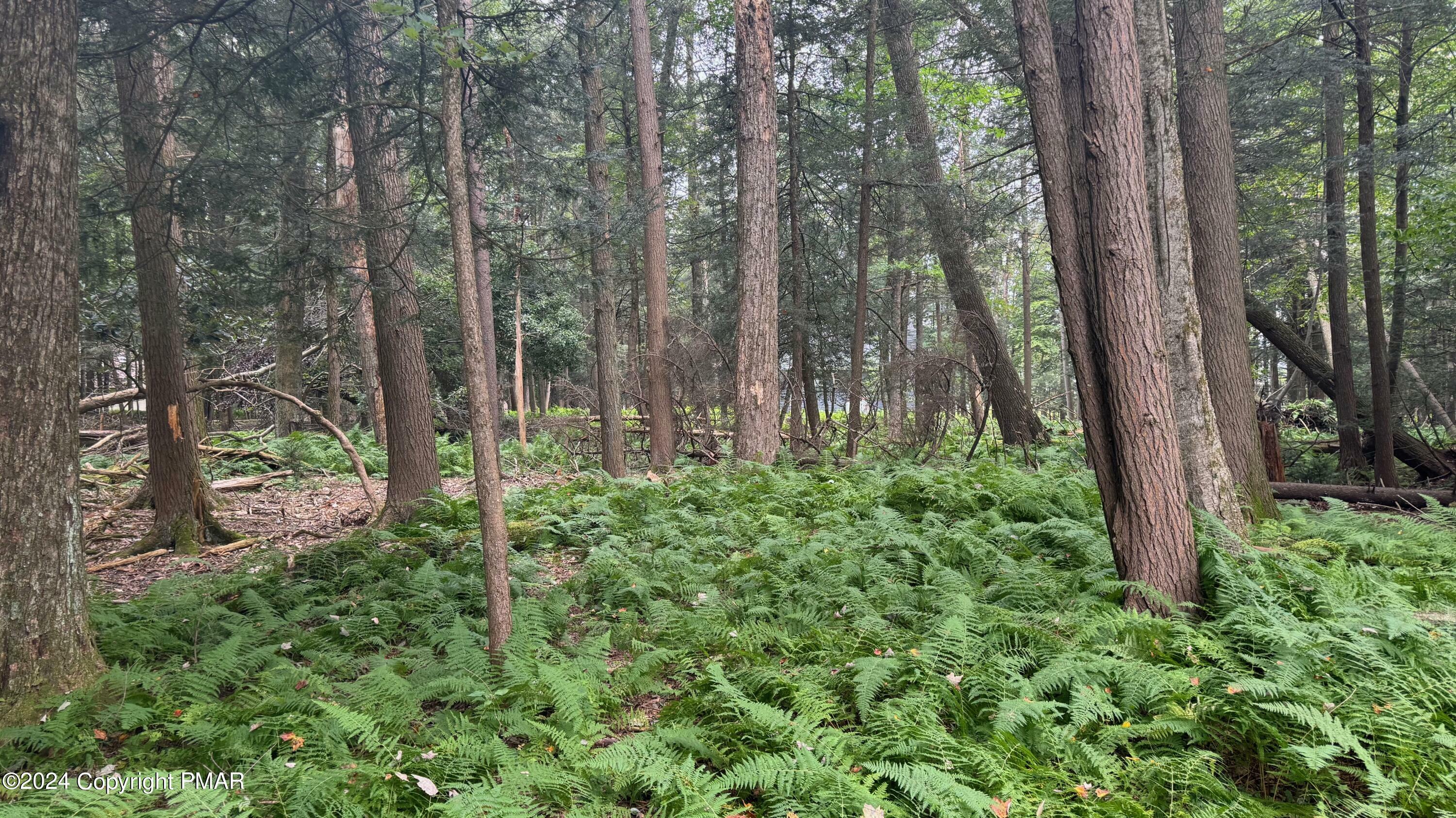 Property Photo: Lot Ev130 Dickey Mews PA 18210