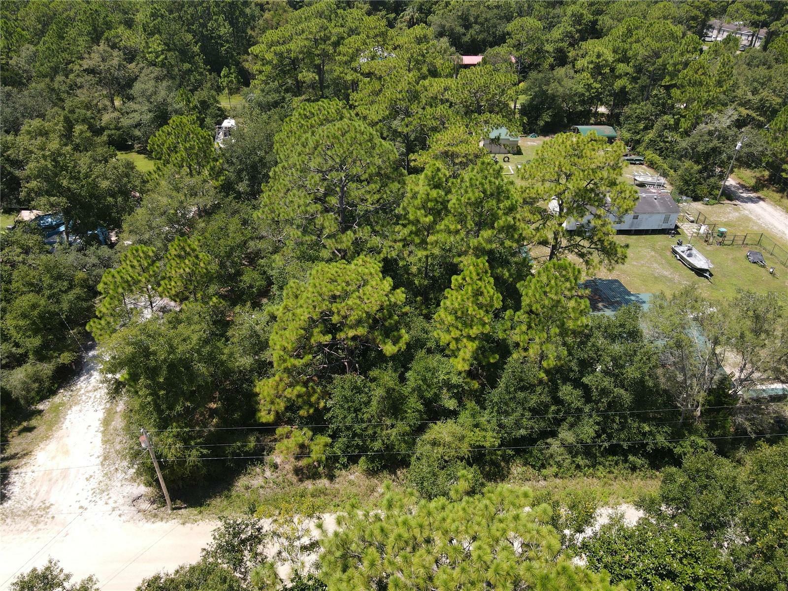 Property Photo:  Bud Crum Road  FL 32346 