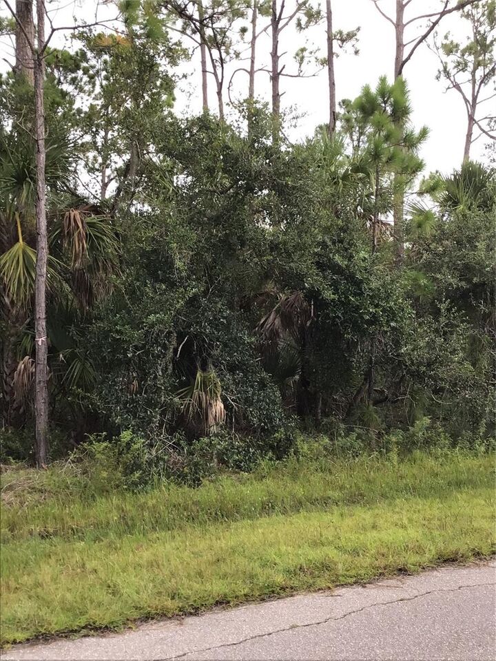 Property Photo: 14202 Hydrangea Avenue FL 33953