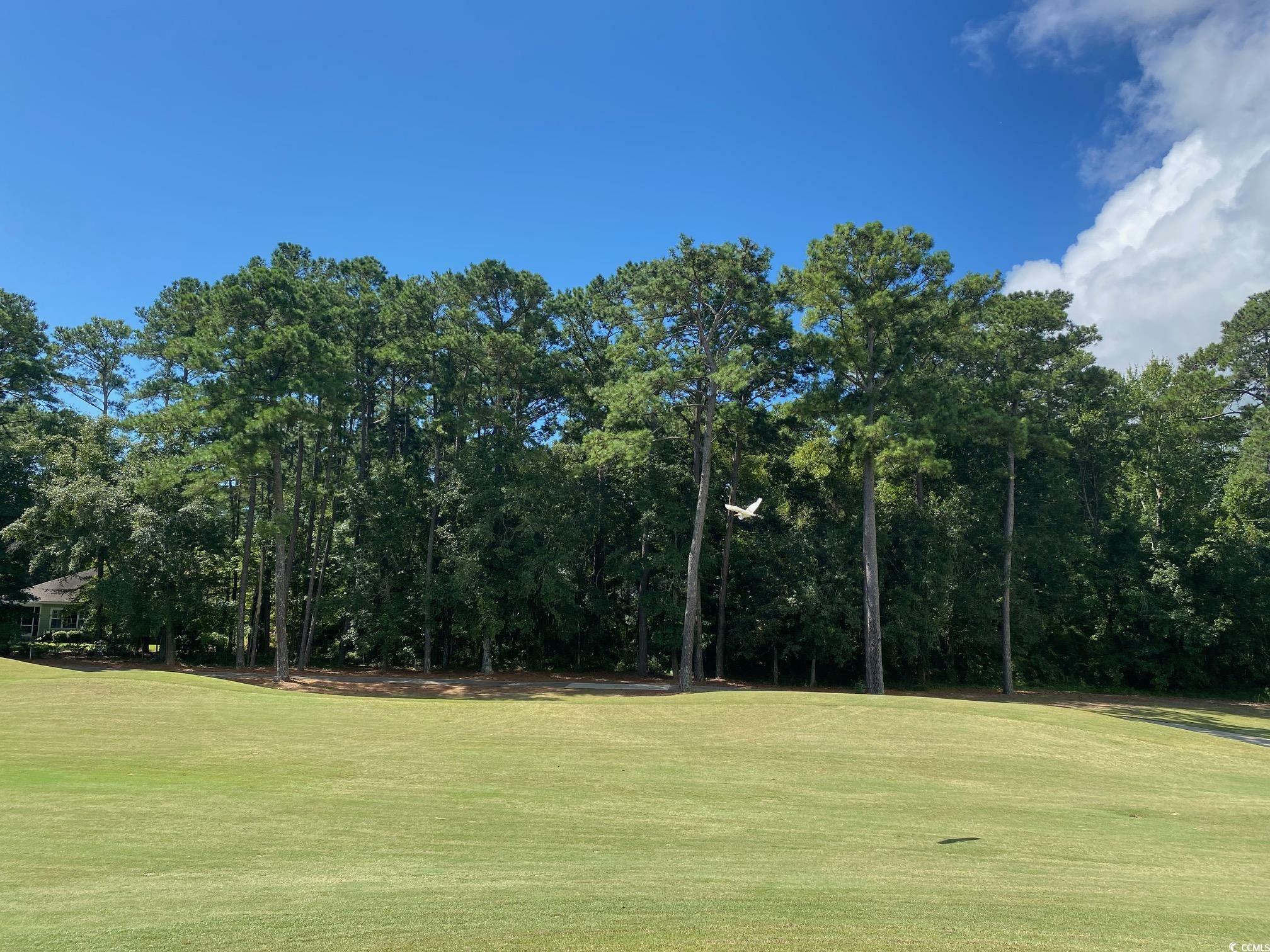 Property Photo:  Lot 22 Grey Fox Loop  SC 29585 