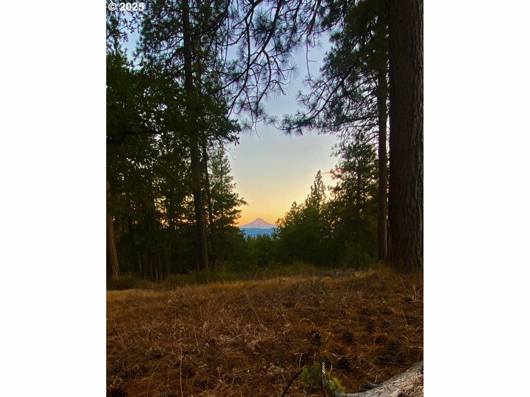 Property Photo:  Secluded Way 3  WA 98635 