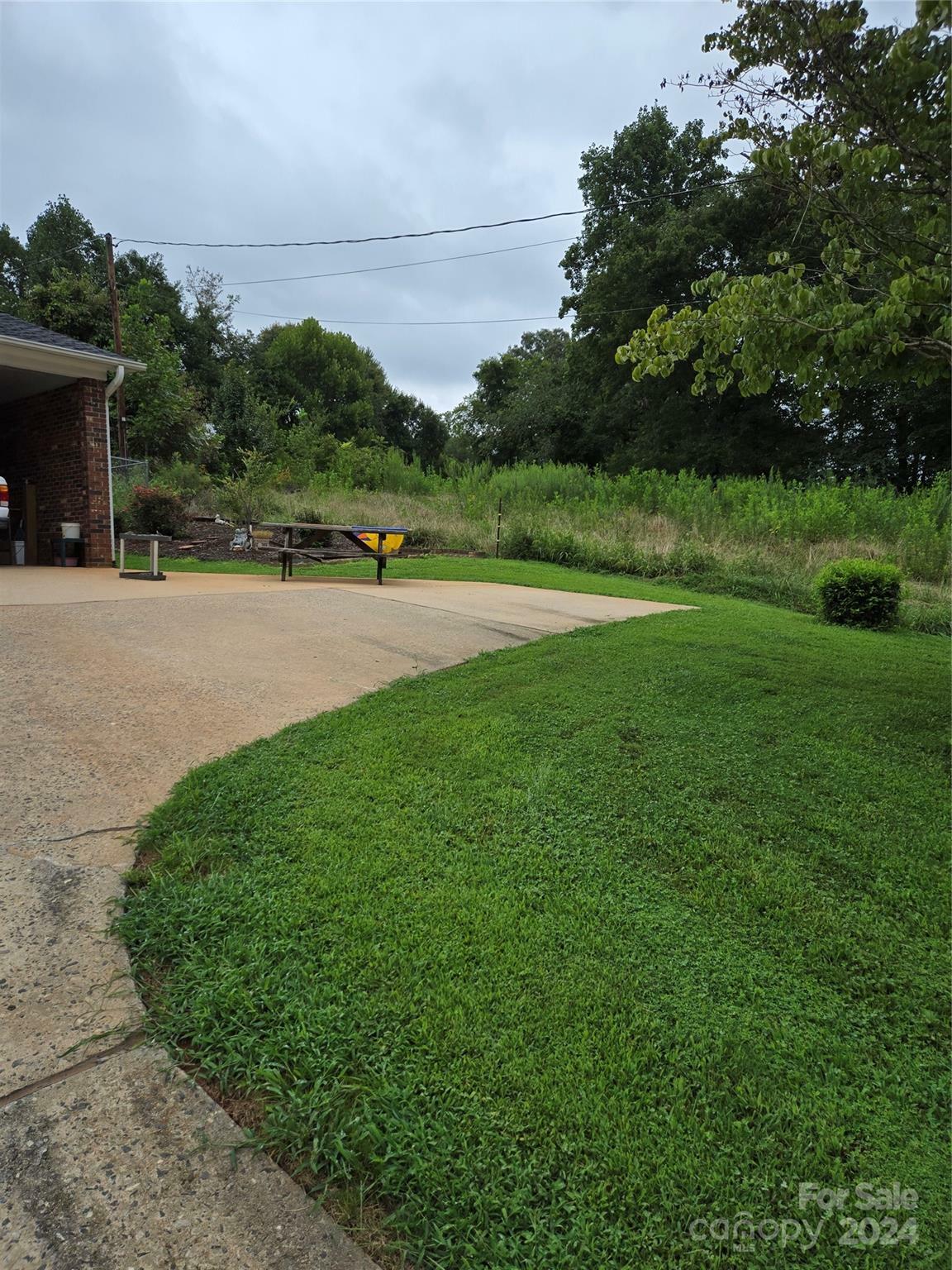 Property Photo:  113 Roby Williams Road  NC 28655 