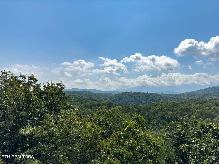 Property Photo:  4528 Rocky Bluff Way  TN 37863 