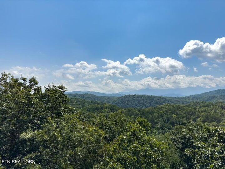 Property Photo:  4528 Rocky Bluff Way  TN 37863 