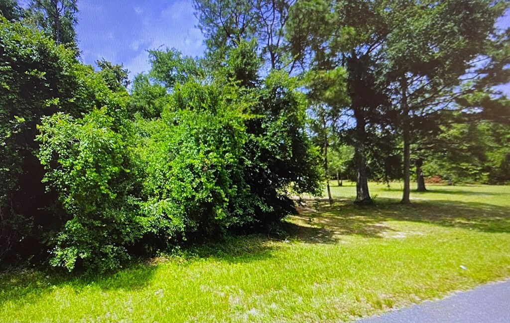 Property Photo:  0 Bristol Hwy  FL 32351 