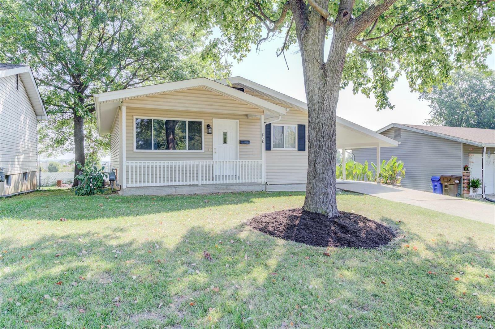 Property Photo:  238 John Street  MO 63379 