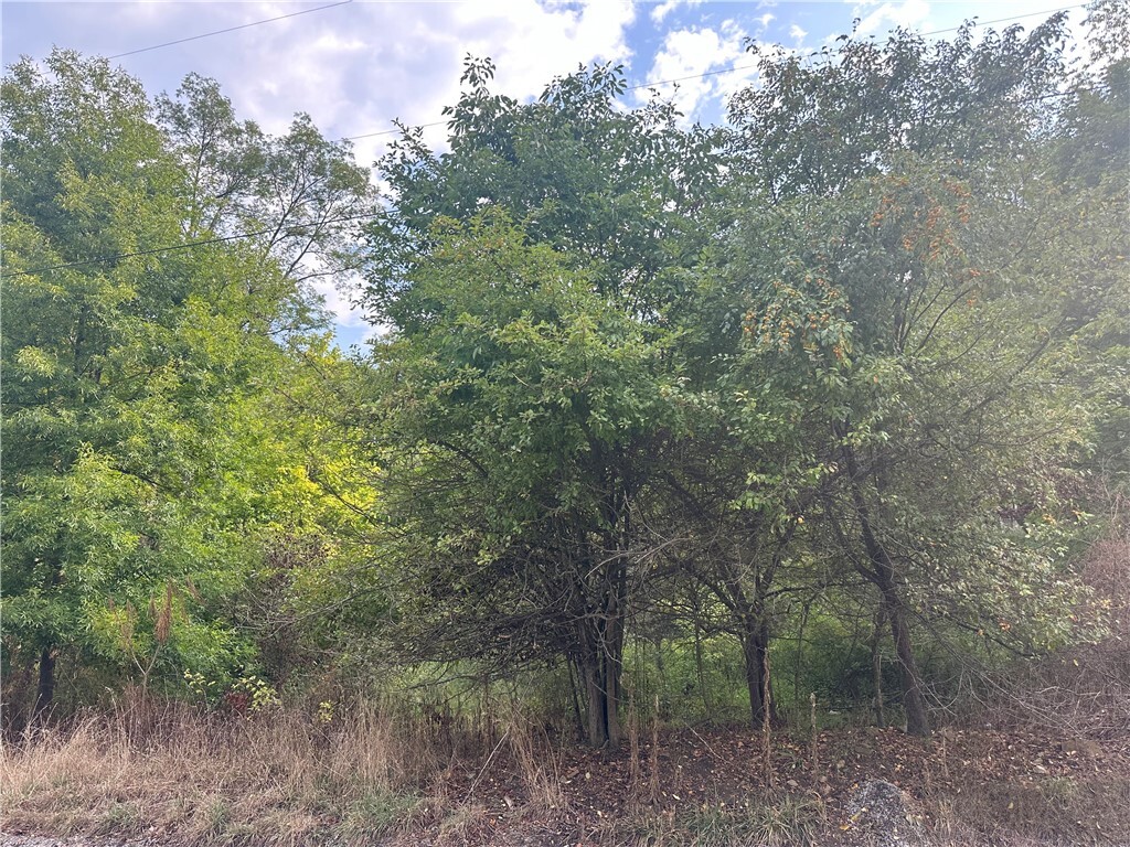 Property Photo: 0 Main Street PA 15687