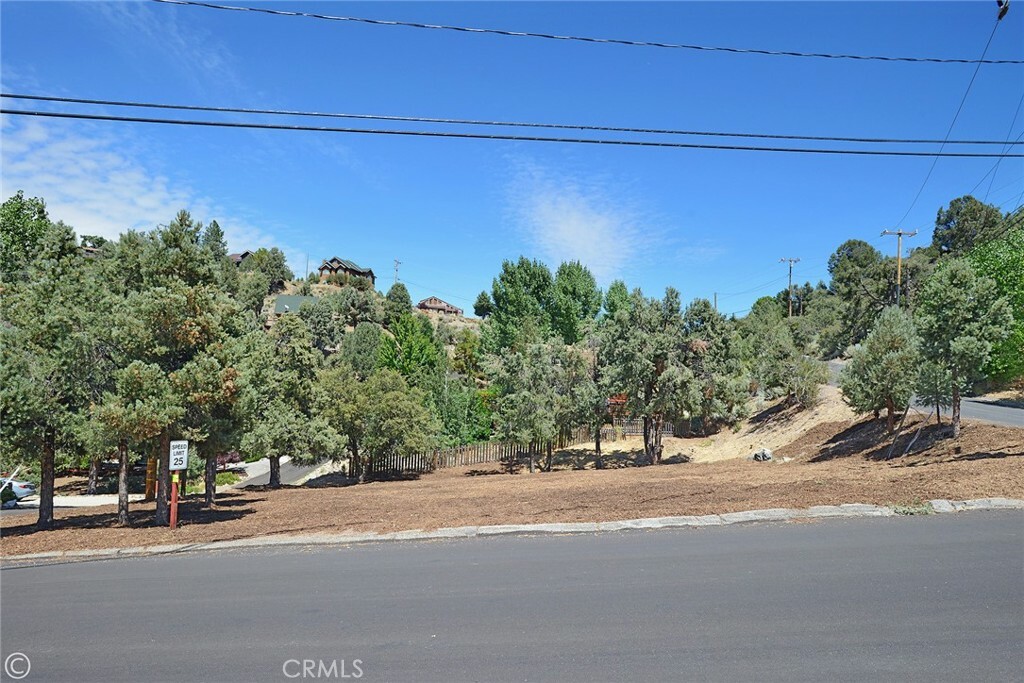 2029 St Bernard Drive  Pine Mountain Club CA 93222 photo