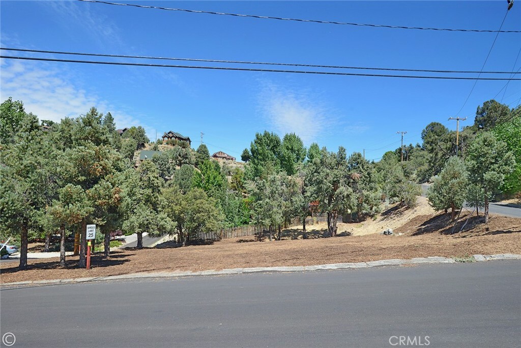 Property Photo:  2029 St Bernard Drive  CA 93222 