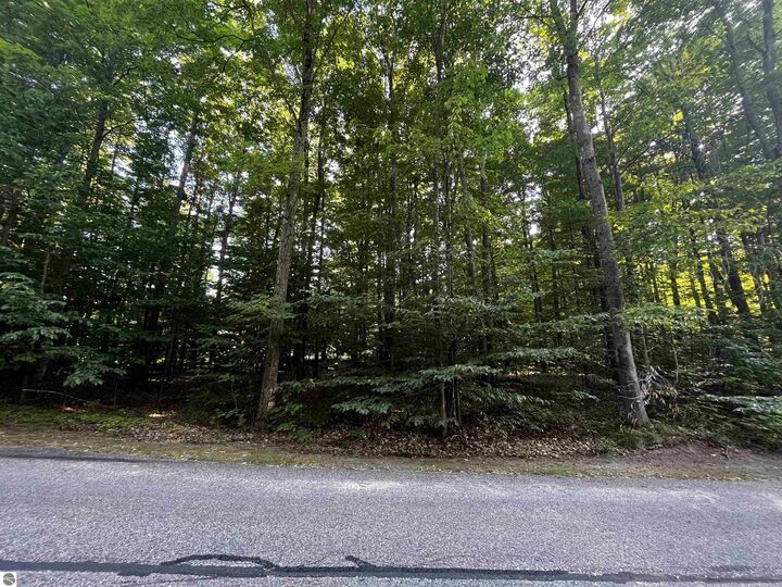 Property Photo:  61 Sparrow Hawk Drive  MI 49615 