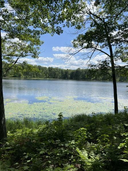 Property Photo:  Xxx Crescent Springs Trail  WI 54871 