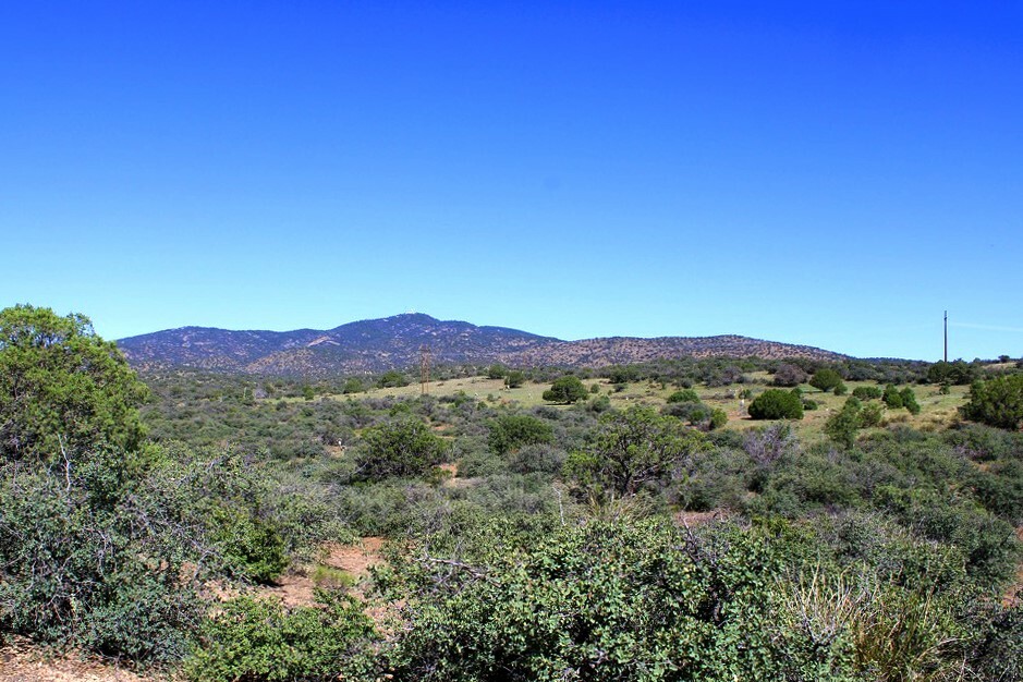 Property Photo:  89 Rustlers Trail  NM 88061 