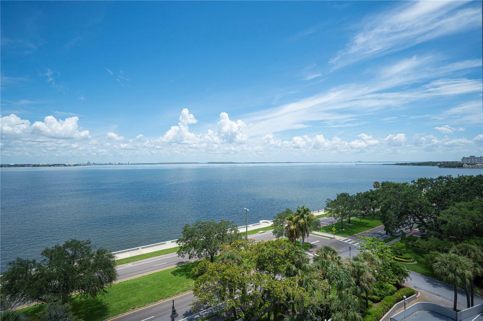 Property Photo:  4141 Bayshore Boulevard 802  FL 33611 