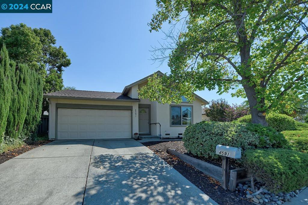 Property Photo:  4591 Deercreek Lane  CA 94521 