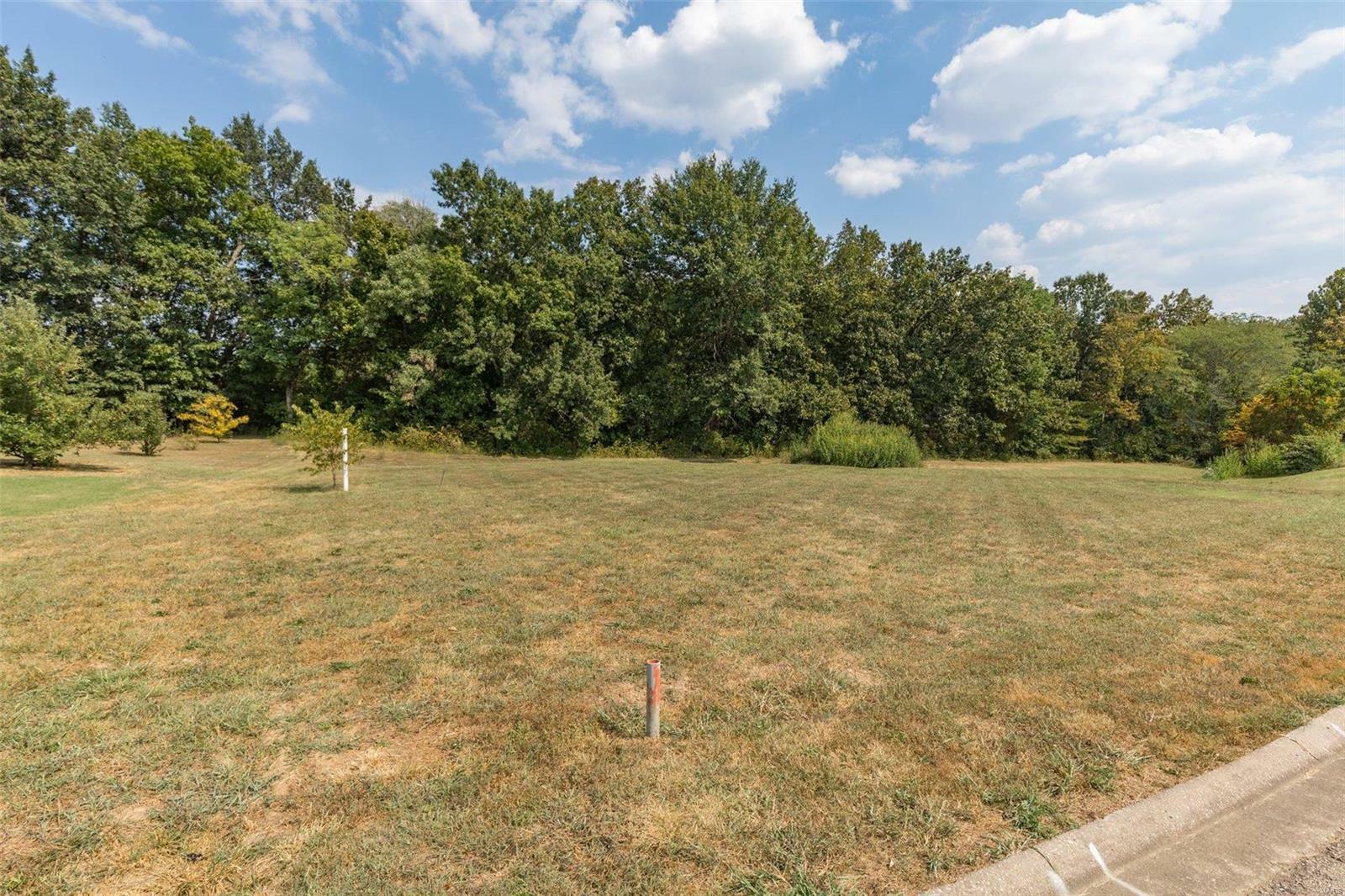 Property Photo:  1176 Spring Brook Park Drive  MO 63640 