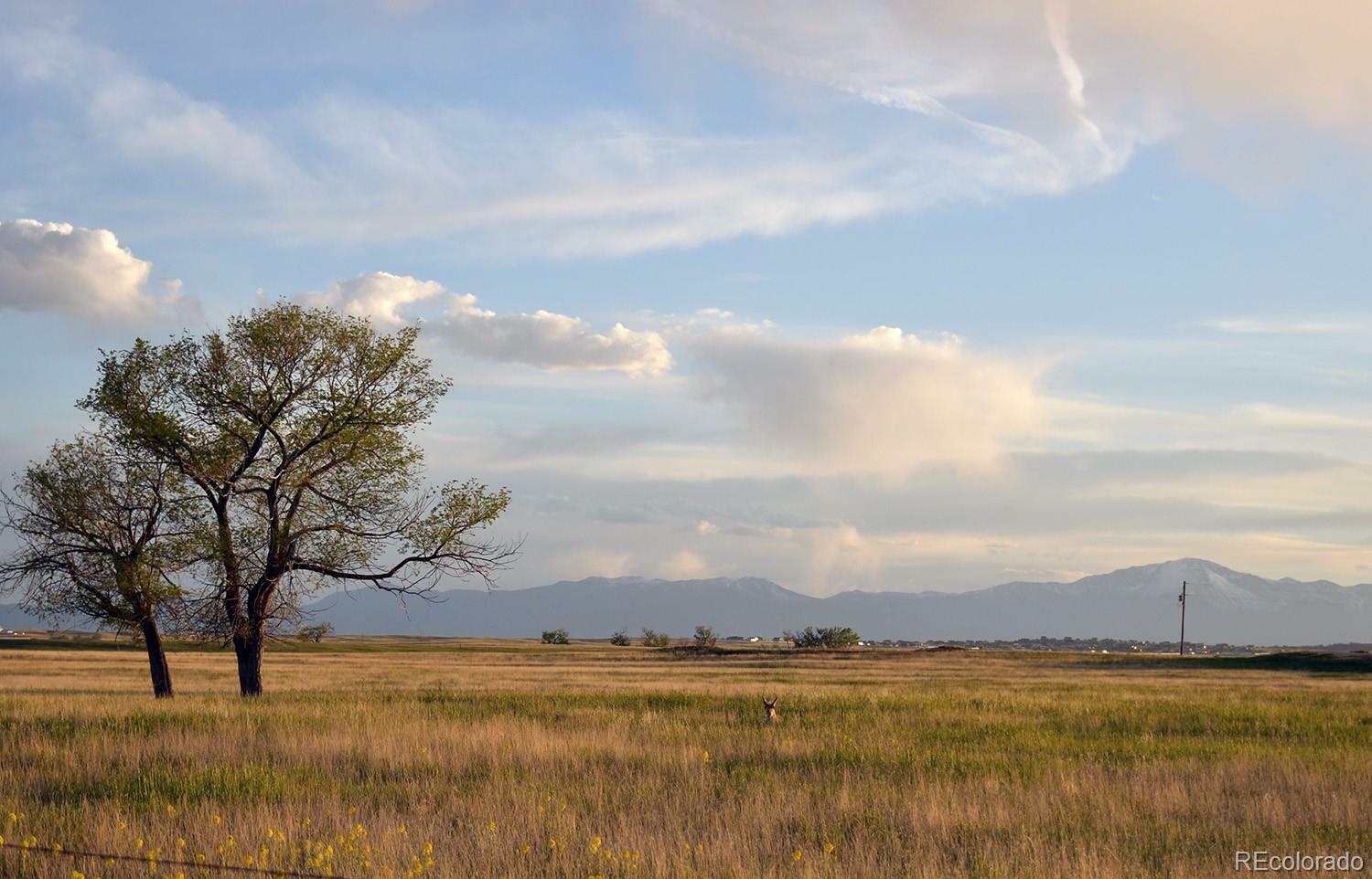 Property Photo:  14350 Bradshaw Road  CO 80831 