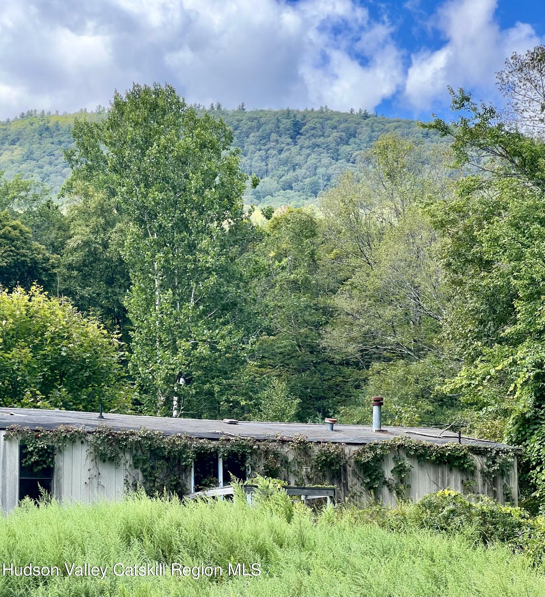 Property Photo:  349 High Point Mountain  NY 12494 